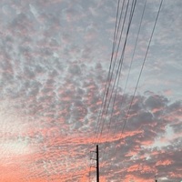 Notary Public in Lauderhill, Florida 33311, EKEISHA SHUBRICK