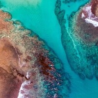 Notary Public in Buckingham, Virginia 23921, Allison Seay