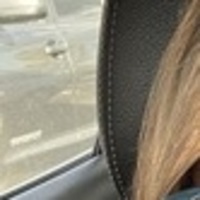 Notary Public in West Bloomfield, Michigan 48322, Ruzha Alliaj