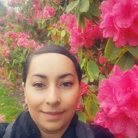 Notary Public in Chicago , Illinois 60652, Heidi Bautista