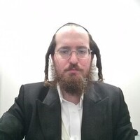 Notary Public in brooklyn, New York 11211, moshe spitzer
