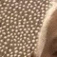 Notary Public in Houston, Texas 77053, Yvonne  Jackson