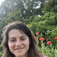 Notary Public in Hickory, North Carolina 28601, Daniela Perjar