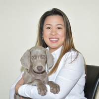 Notary Public in Bellevue, Washington 98004, Van Bui