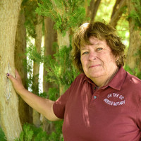 Notary Public in Indian Springs , Nevada 89018, Conni Canaday