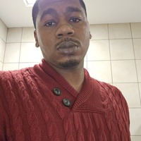Notary Public in Chicago, Illinois 60628, Deimitri Johnson